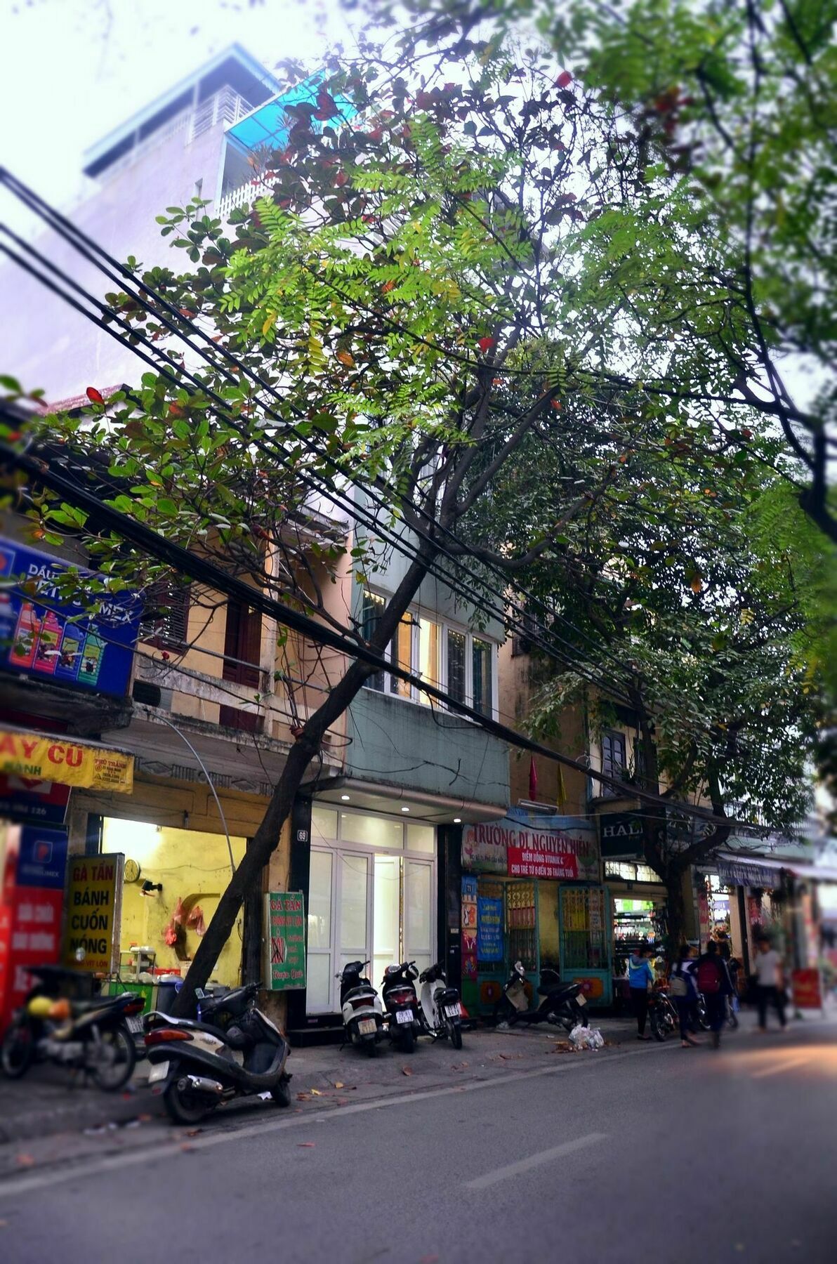 Bee House - Near Hanoi Opera House, Hoan Kiem Exterior foto